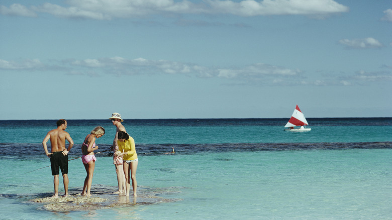 A group of friends at the beach on Harbour Island, Bahamas