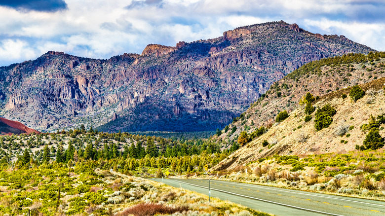 Volcanic Legacy Scenic Byway near Mount Shasta