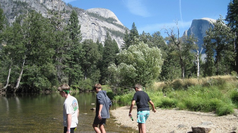 three boys wading through a shallow river in Yosemite National Park during a NatureBridge programme