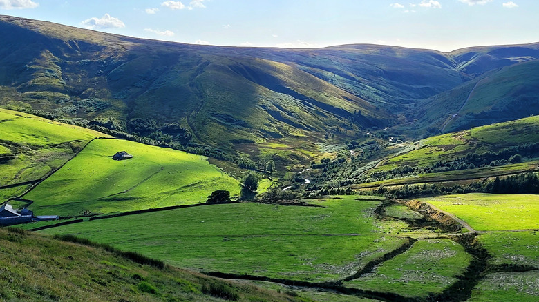 Green hills, fields, and a river valley in the Forest of Bowland.