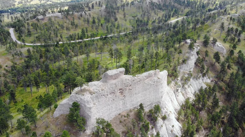 Aerial view, butte and pine forest