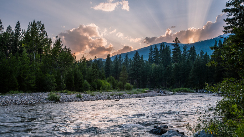 river with trees and mountains
