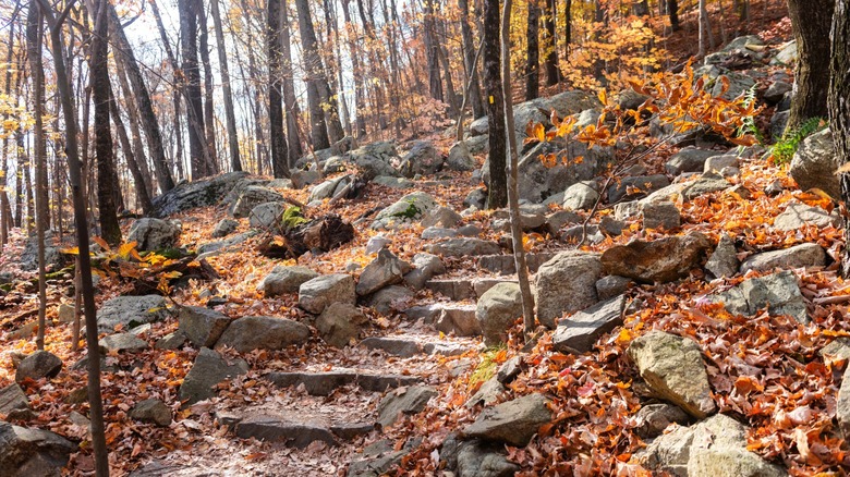 Hiking trail in Ramapo Mountain State Park with colorful fall foliage