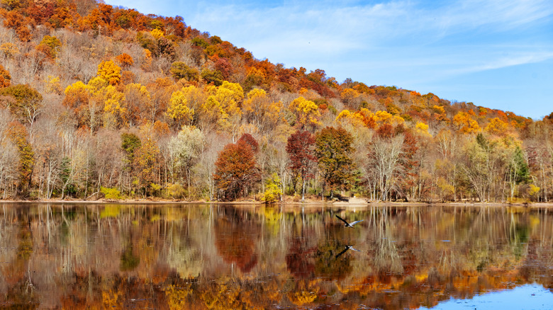 Autumn landscape reflecting in a lake in the Ramapo Mountains in Mahwah