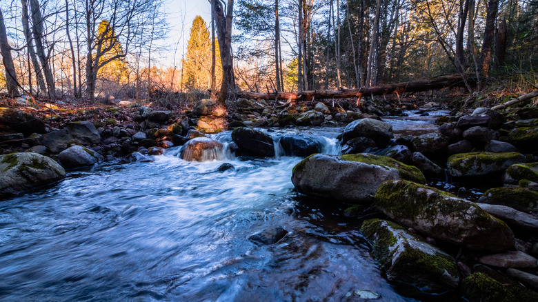 Flowing water on river