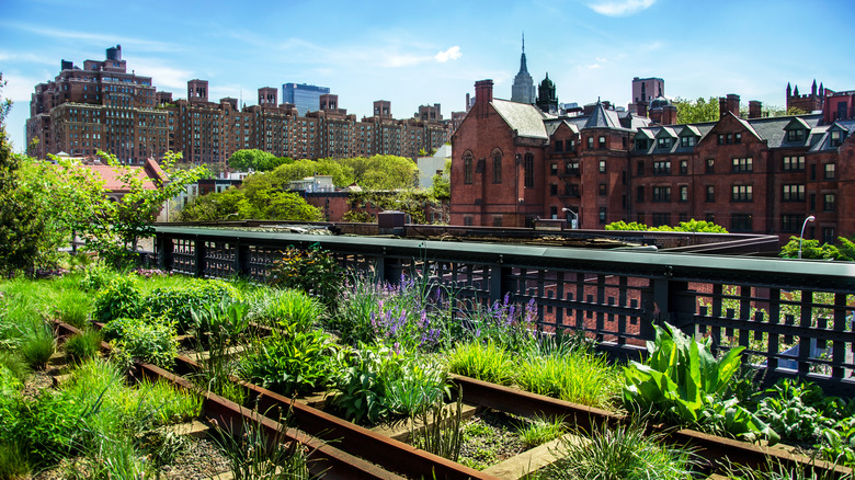 The High Line public park