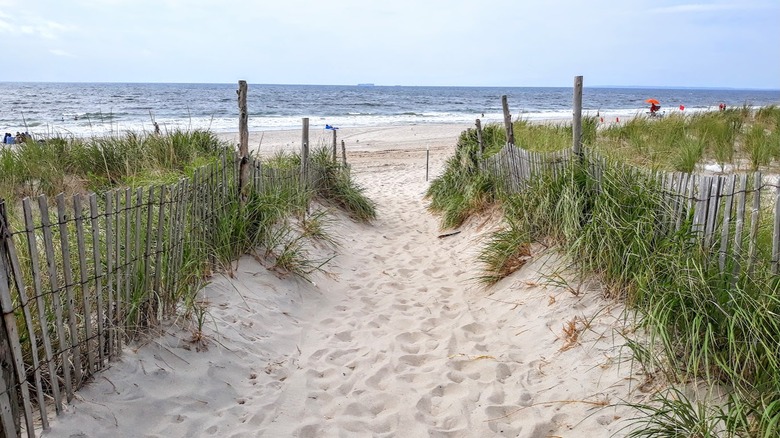 sandy path leading to the ocean flanked by tall grass