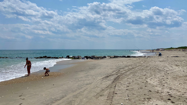 People along the coastline and fishermen on a sandy beach on a sunny day