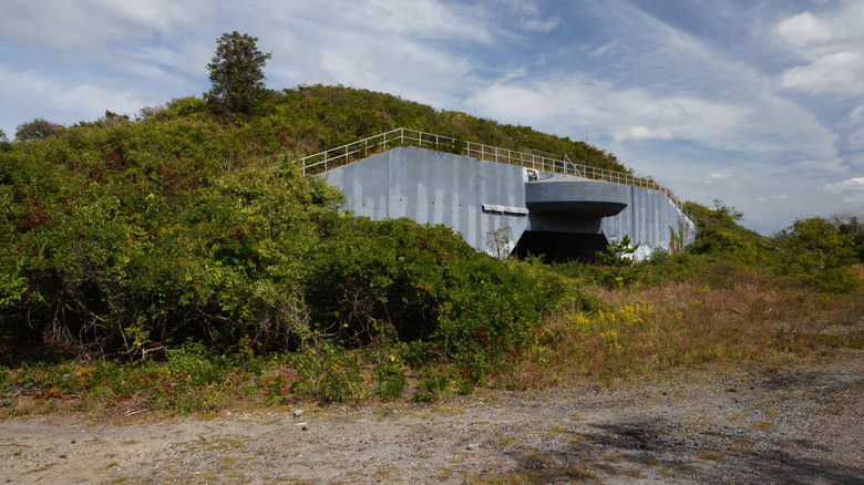 Concrete structure covered in green vegetation at Fort Tilden