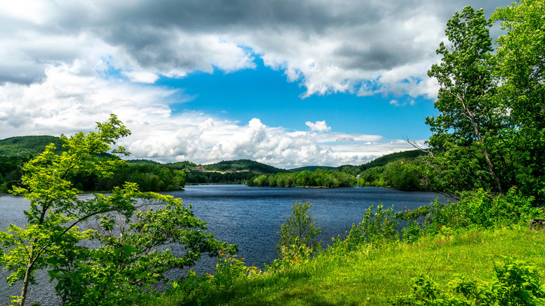 A view of blue sky and green trees at Great Sacandaga Lake