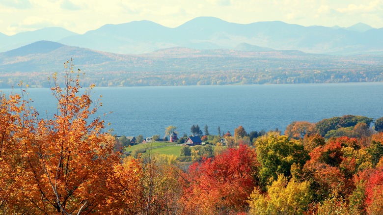 Autumn leaves over Lake Champlain