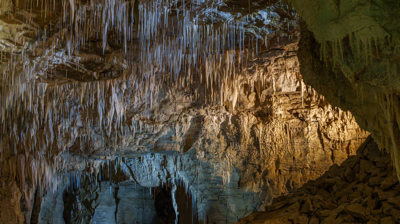 stalagmites in Howe Caverns