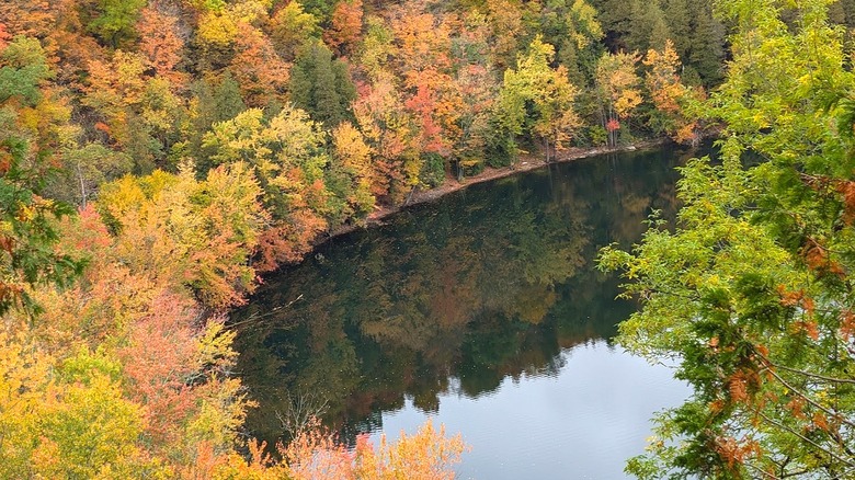 Layers of bright fall foliage contrasting with evergreens and the dark water of Glacier Lake