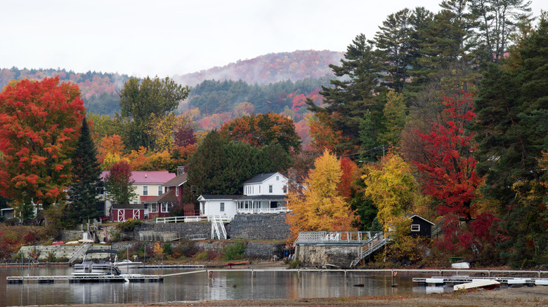 Lake homes along the water