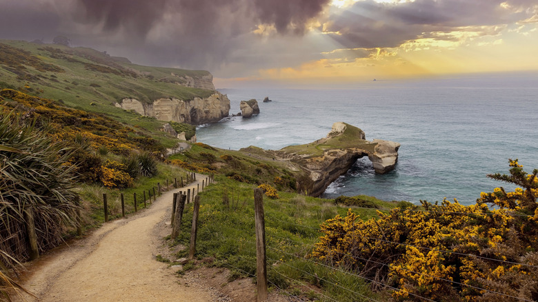 Trail leading to the sea clouds overhead