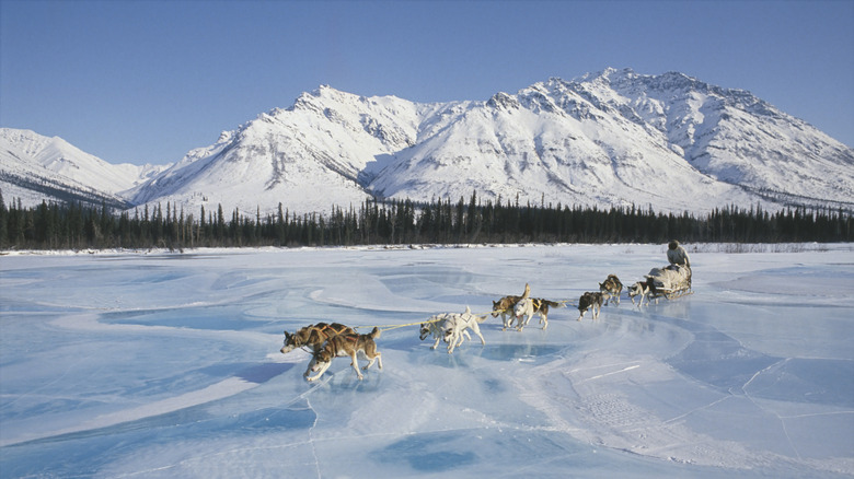 A dog sled running across a frozen lake in front of snowy mountains at Gates of the Arctic National Park and Preserve in Alaska