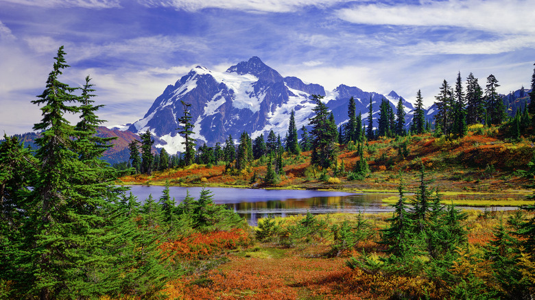 Mount Shuksan and Picture Lake surrounded by trees at Washington's North Cascades National Park in the fall