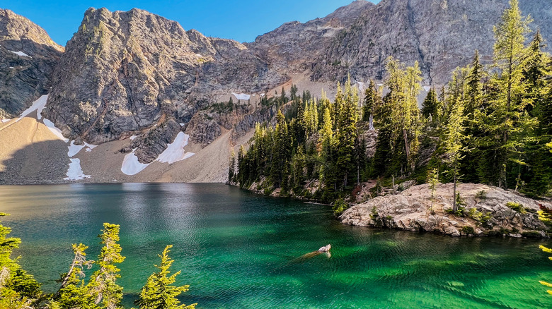 A turquoise lake surrounded by trees at the base of a mountain in North Cascades National Park