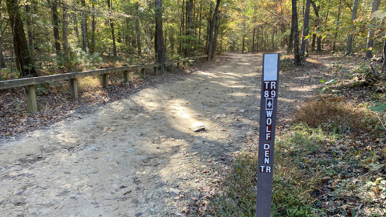 A trail marker within the nearby Uwharrie State Forest