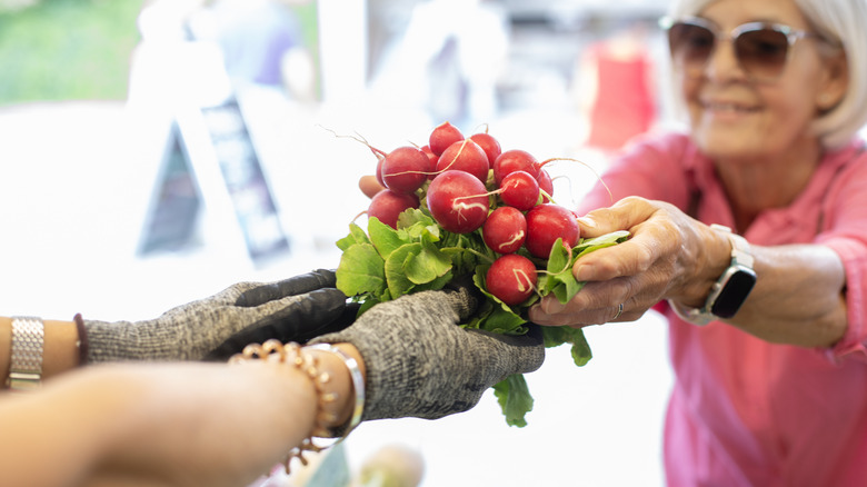 A woman buys a bunch of radishes from the farmers market