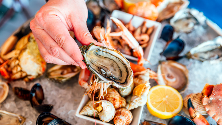 A spread of seafood on a table with a hand holding an oyster
