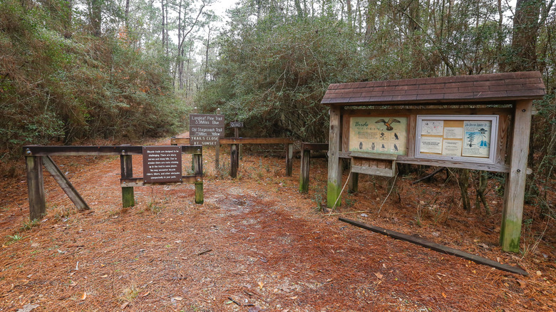 Signs mark trail in the forest at Jones Lake State Park