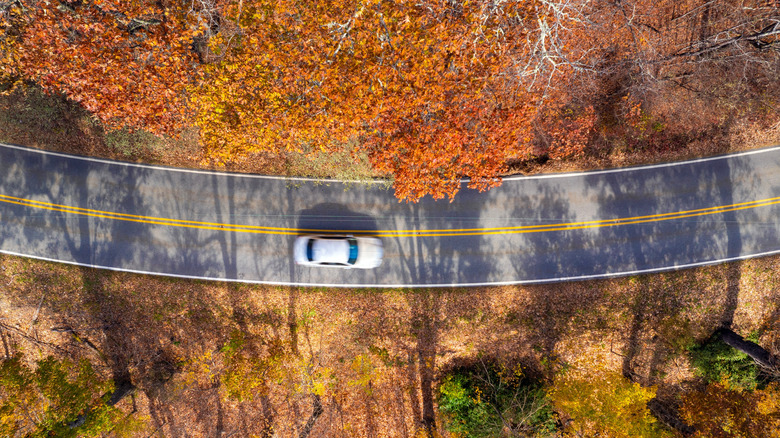 aerial shot of car on Blue Ridge Parkway in North Carolina surrounded by autumn leaves