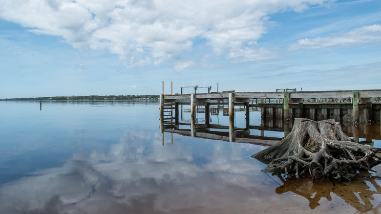 pier with driftwood and sky reflected in the water