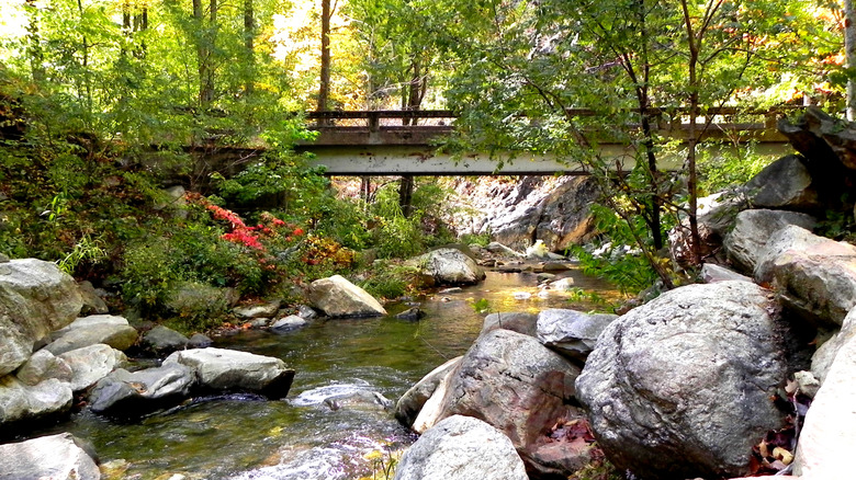 A bridge and river near Linville Falls caverns