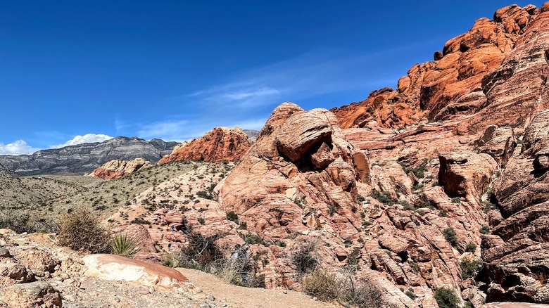 Salmon and orange-colored rock formations against a light-green grass field and blue sky.