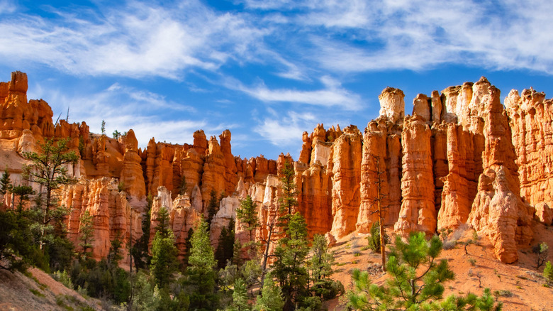 hoodoos in Bryce Canyon National Park, Utah