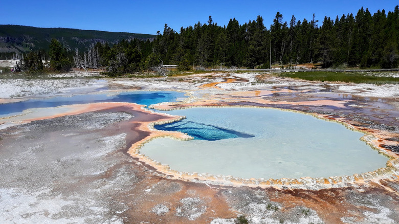 hydrothermal pools with light and dark blue colors, evergreen trees and sky in background