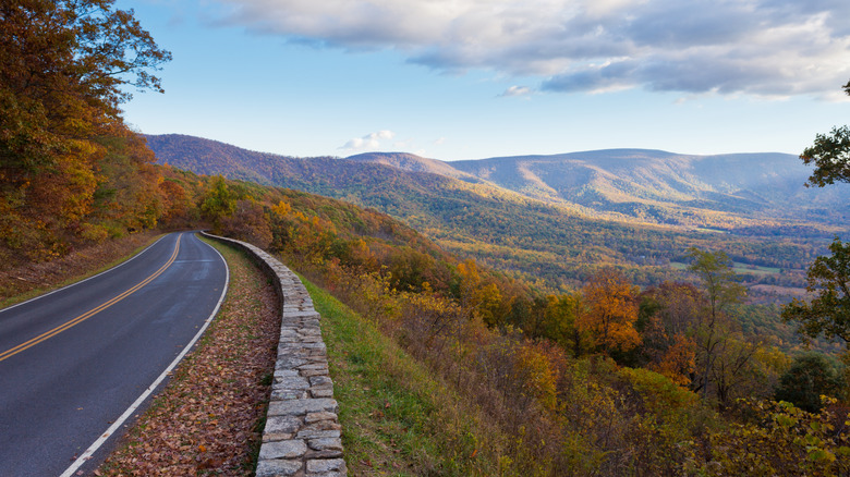 Skyline Drive, a winding road in the mountains surrounded by fall foliage views