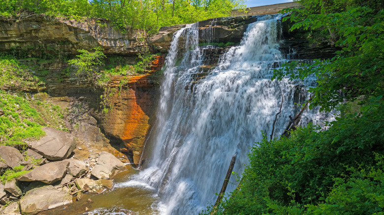 A waterfall surrounded by trees and foliage at Cuyahoga Valley National Park.
