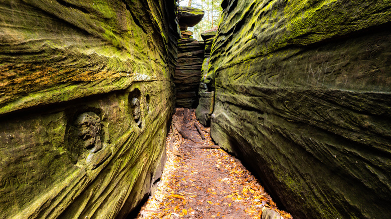 A slot canyon along the Ledges Trail in Cuyahoga Valley National Park.