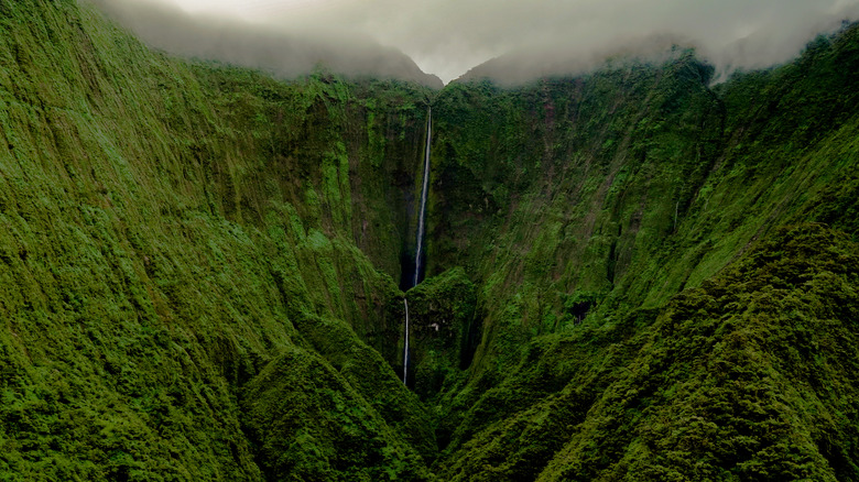 An aerial view of the sea cliffs and waterfall in Molokai, Hawaii