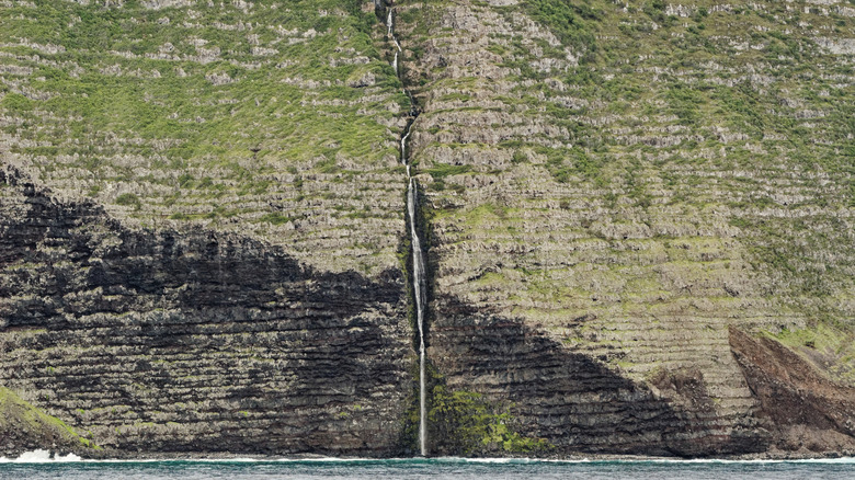 Molokai's Sea cliffs, the tallest on earth, in Molokai, Hawaii