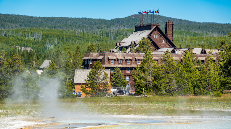 Old Faithful Inn surrounded by pine trees