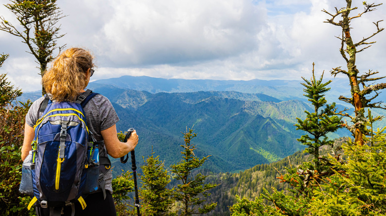 A hiker enjoying the view at Great Smoky Mountains National Park.