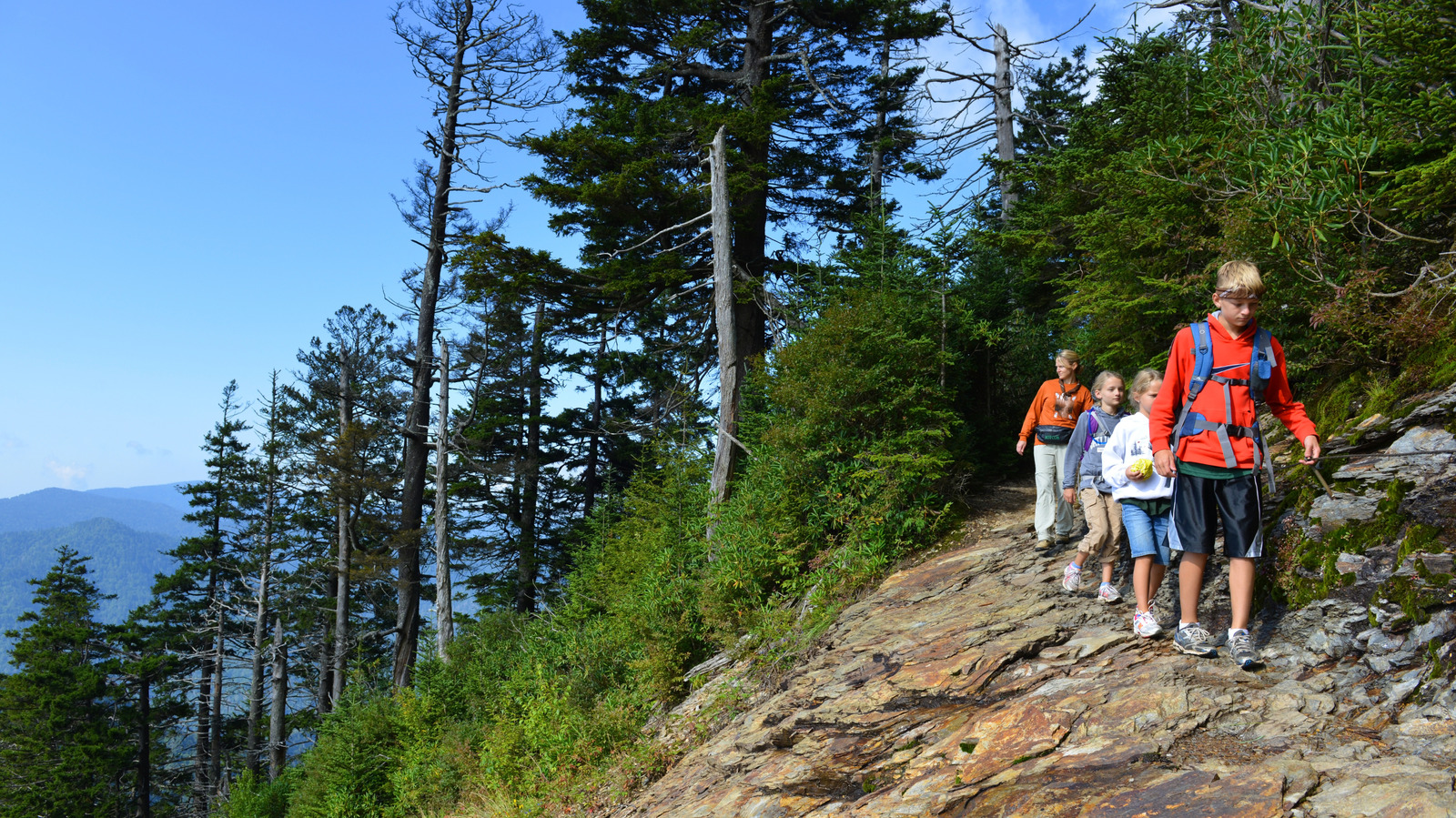 Not Yosemite, Not Rocky Mountain: These National Parks Offer The Most Hiking Trails