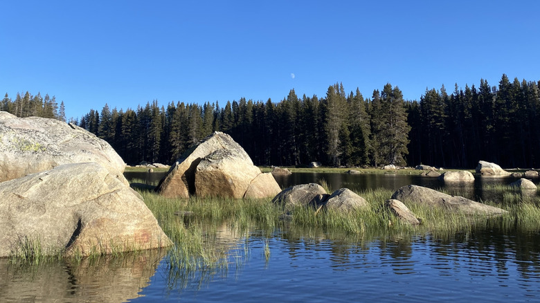 lake rocks and trees
