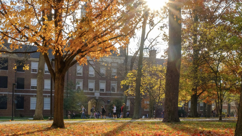 A Miami University building among fall trees.
