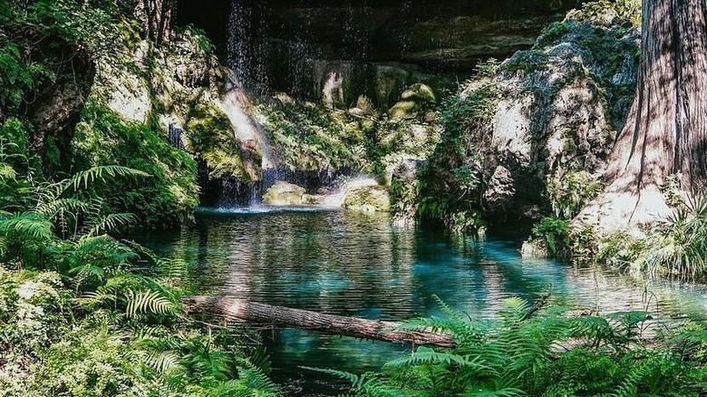 A pool at the bottom of the waterfall at Westcave, Texas