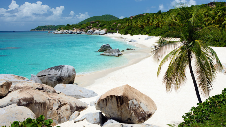 Palm trees and boulders on white sandy beach