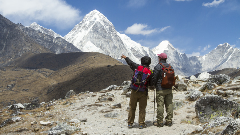 A hiker and guide gaze at the Himalayas