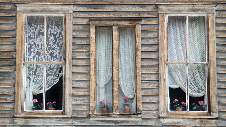 Curtains and potted flowers decorate old windows in St. Elmo, Colorado