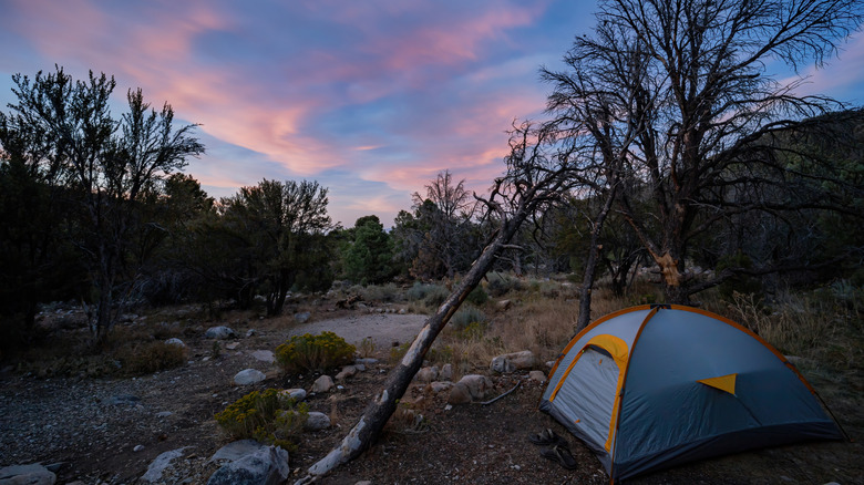 camping Great Basin National Park