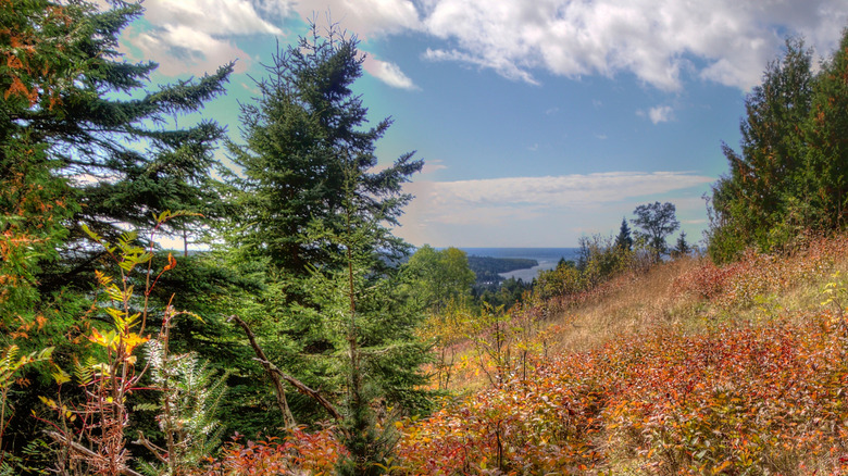 Evergreens and colorful fall foliage frame the distant Lake Superior from a peak in Isle Royale National Park