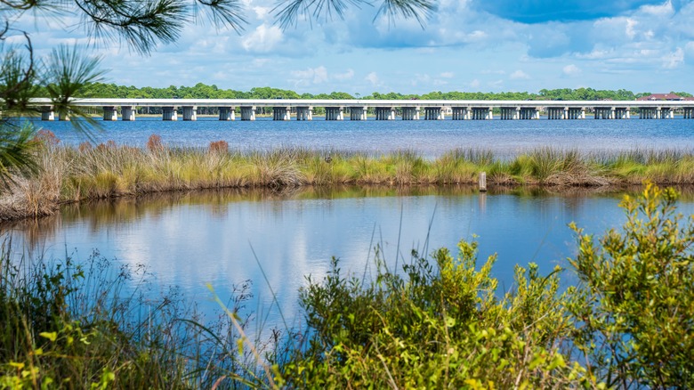 Lake with marshes and large bridge across