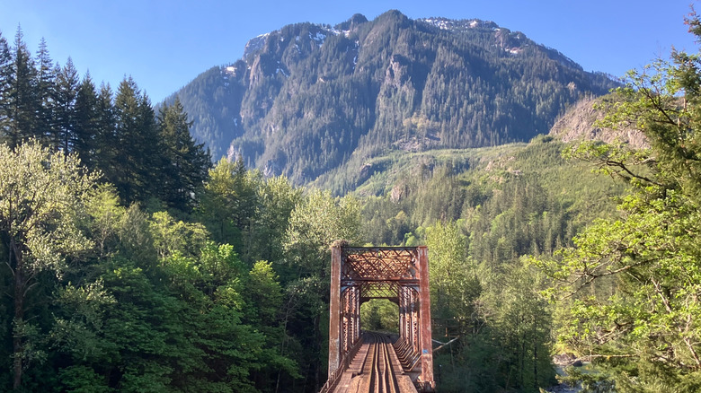 Railway brudge with forest and mountains in the background